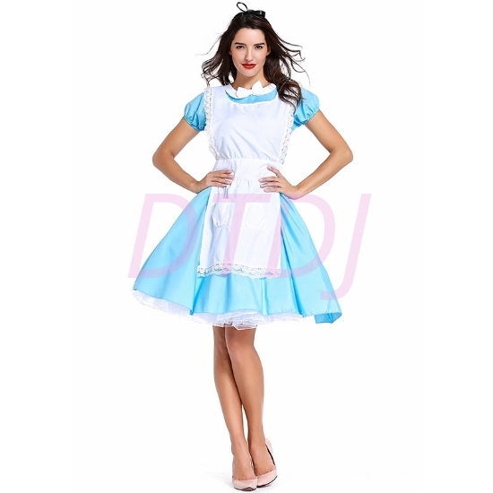 Picture of Ladies Alice In Wonderland Costume