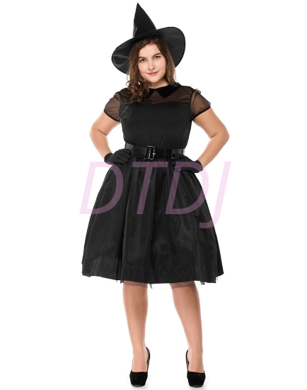 Picture of Womens Wicked Witch Costume PLUS SIZE