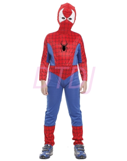 Picture of Boys Superhero Spiderman Costume
