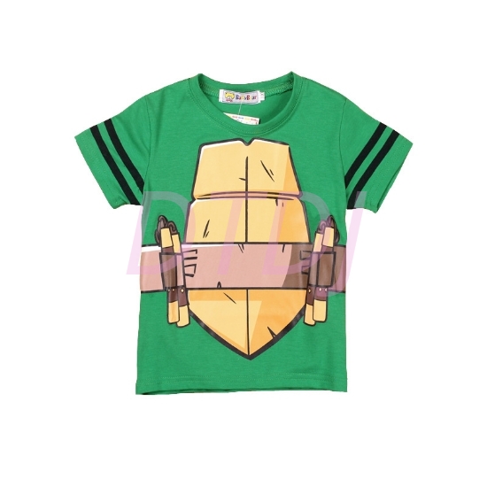 Picture of Boys Ninja Turtle T-Shirt