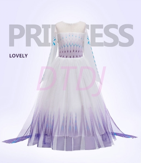 Picture of Frozen2 Elsa Dress  - Purple