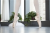 Picture of Deluxe Pink Ballet Dancing Shoes with optional Silica Toe Pads
