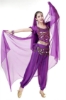 Picture of Women's Belly Dance Two Pieces Outfits - Red