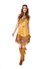 Picture of Sexy Wild West Indian Womens Costume 