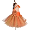 Picture of Girls Animal Zebra Tutu Dress 