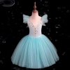 Picture of Girls Ballet Dancing Tutu Dress - Pink